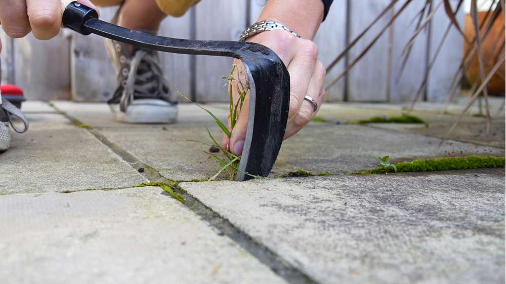 Burgon & Ball Ogräshacka